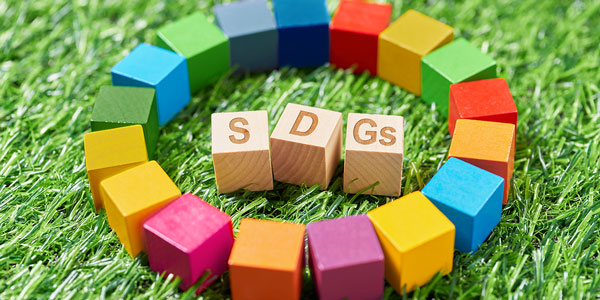SDGs