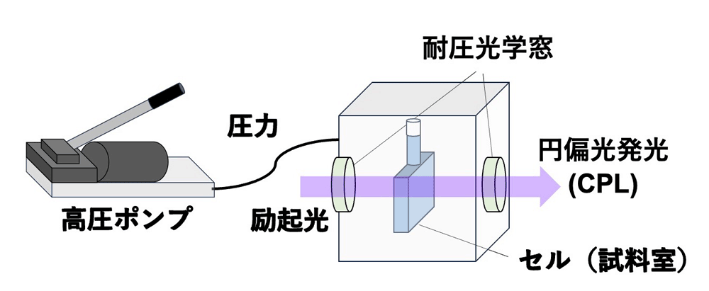 静水圧による高圧円偏光発光(CPL)計測系（概念図）
