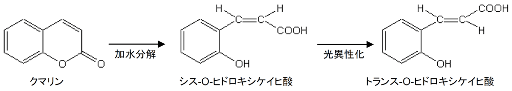 クマリンの加水分解・光異性化反応