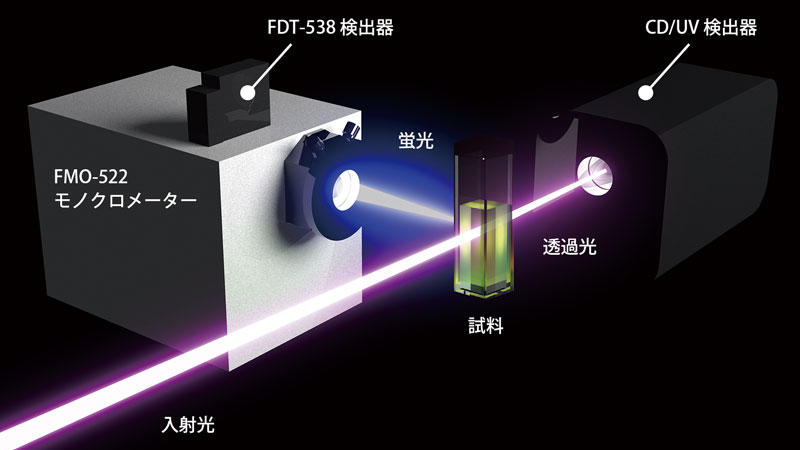 CD・蛍光同時測定の概略図