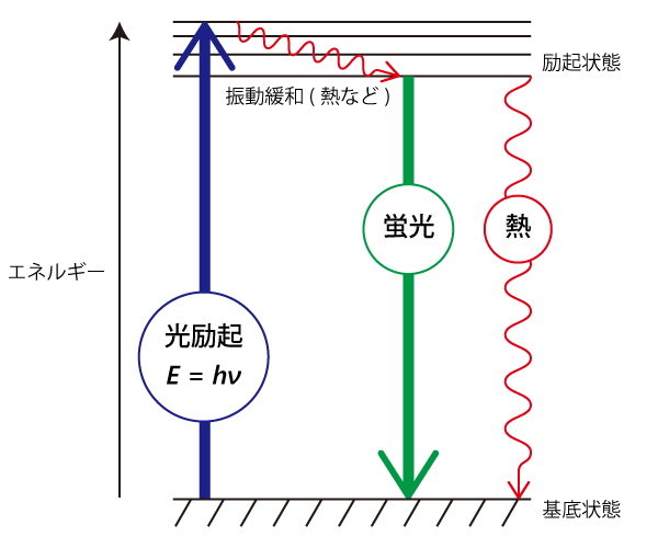 光の吸収と発光