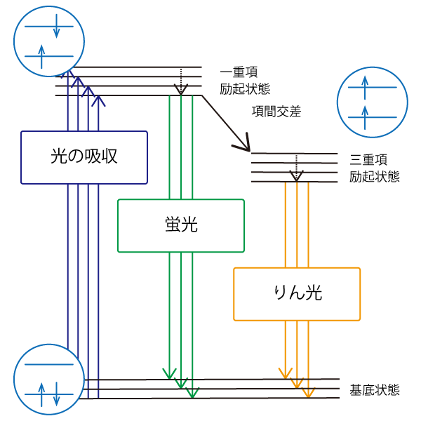 蛍光とりん光の違い