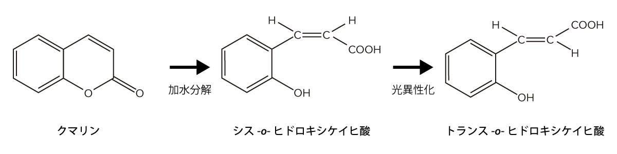 クマリンの異性化