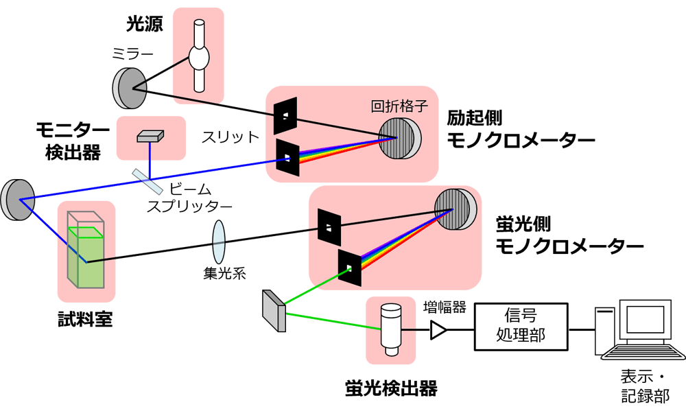 分光蛍光光度計の光学系