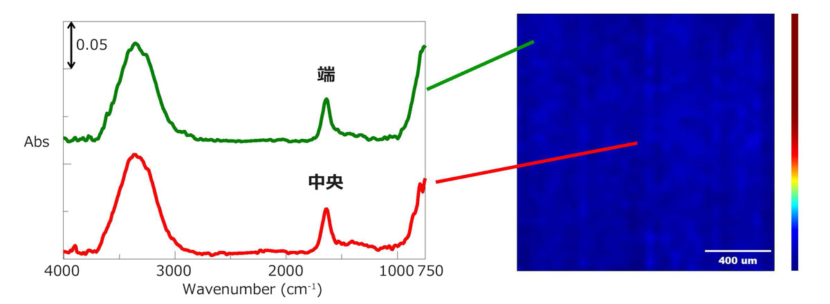 ATR-5000-WGを用いて測定した水のマッピング測定とATRの中央/ATRの端のIRスペクトルの比較