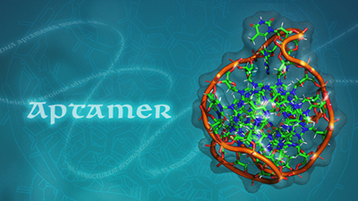 aptamer