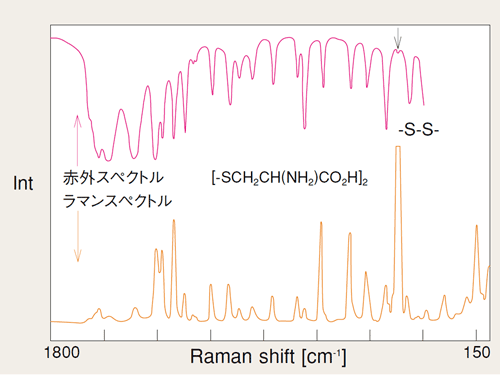 FTラマンシステムによるL-シスチンのラマンスペクトル