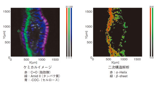 赤外顕微鏡を利用したタンパク質の二次構造解析