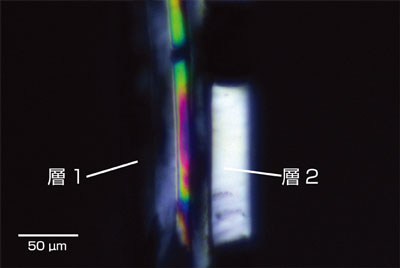 可視偏光観察（クロスニコル）