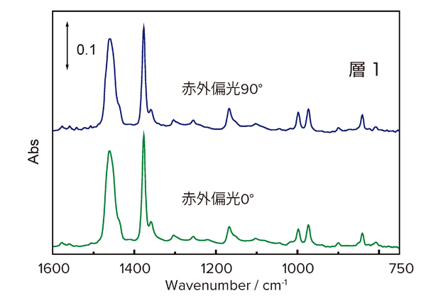 赤外偏光スペクトル（層1）