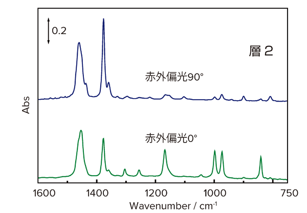 赤外偏光スペクトル（層2）