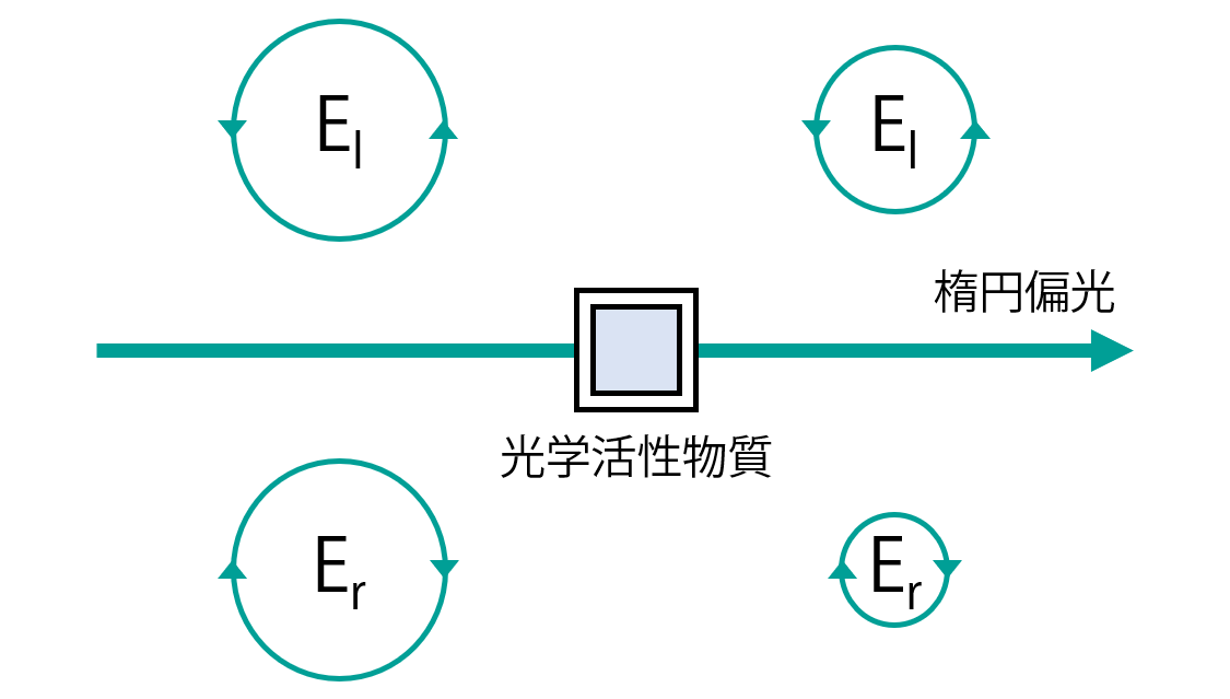 円偏光の不等吸収