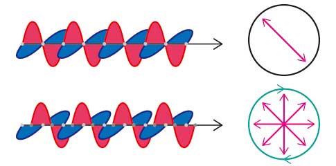 直線偏光、円偏光