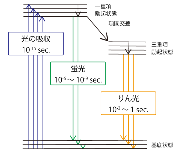 りん光過程