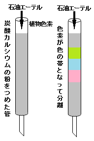 tswettのクロマトグラフィー