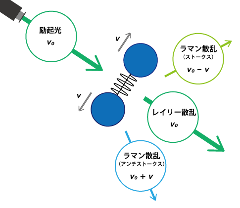 ラマン分光法の基礎 1 ラマン分光法とは 日本分光株式会社 ラマン分光法の基礎 1 ラマン分光法とは 日本分光株式会社