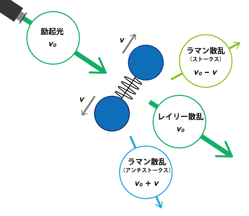 ラマン散乱光とレイリー散乱光