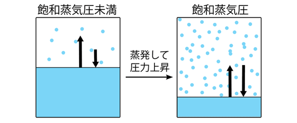 飽和蒸気圧