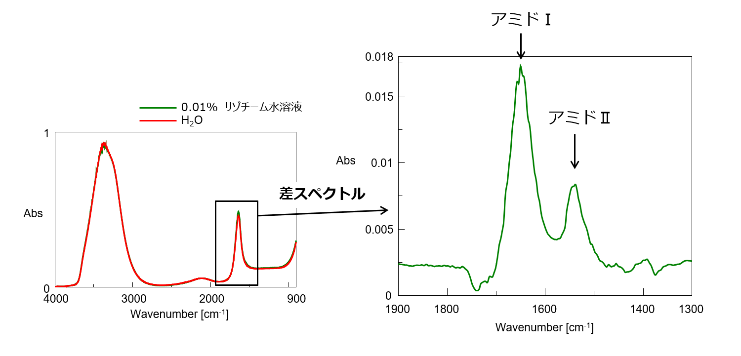 0.01%リゾチーム水溶液のATR PRO PENTAでの測定結果と差スペクトル