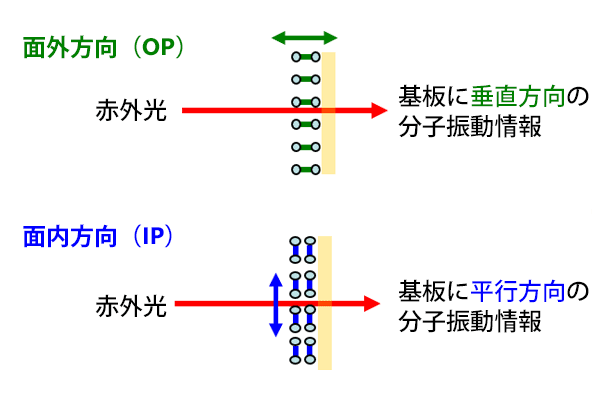 面外スペクトルと面内スペクトル