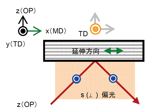 Irradiation of polarized film