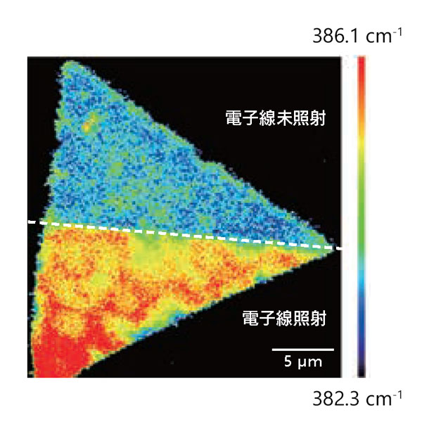 MoS2の観察画像、ラマンイメージング