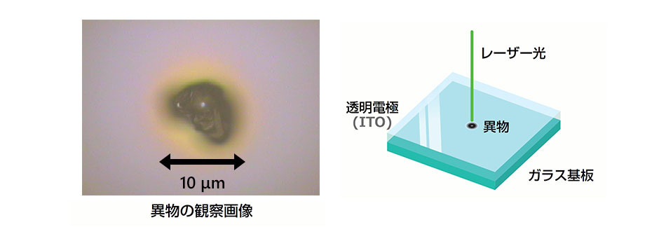 ラマン分光法による透明電極中の異物の分析 | 日本分光株式会社