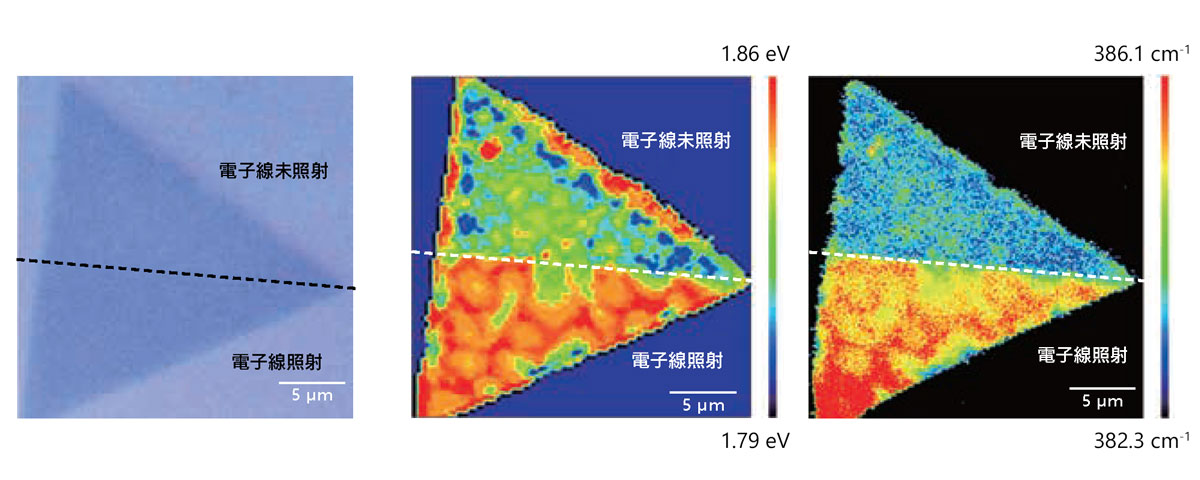 MoS2の観察画像、PL/ラマンイメージング