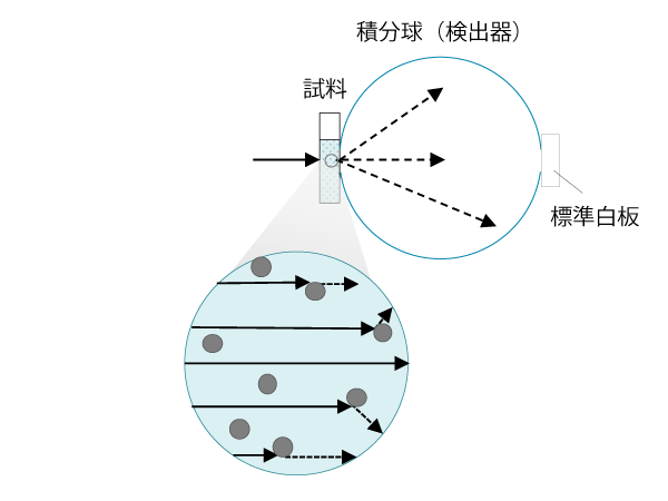 拡散透過測定