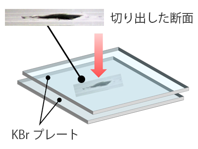 サンプリング