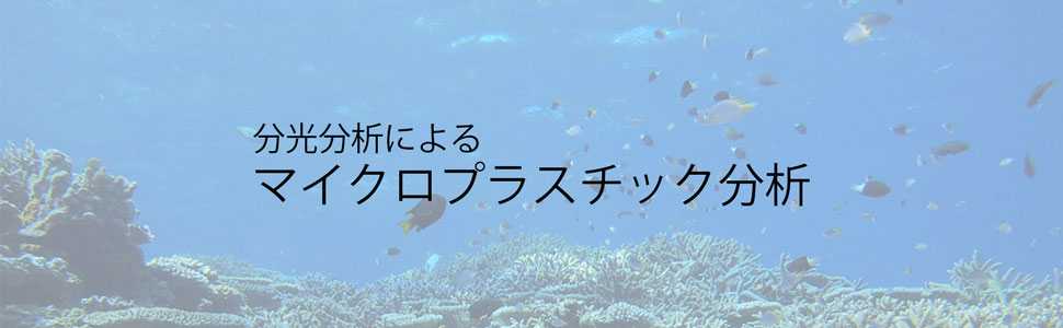 海洋